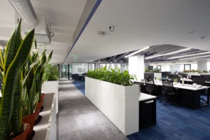 Biophilic Interior Design