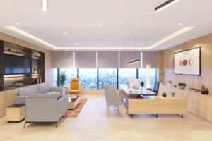 CEOs Office room interior design