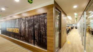 Nature-inspired Wallpapers for office spaces 