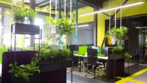 office wall paint design 
